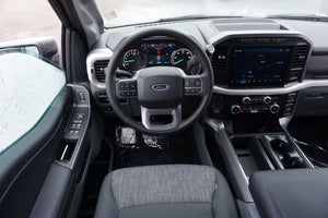 2023 Ford F-150 XLT FX4 Chrome Appearance